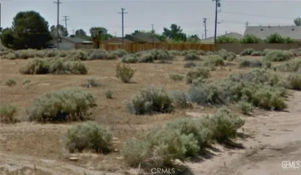 a view of a dry yard
