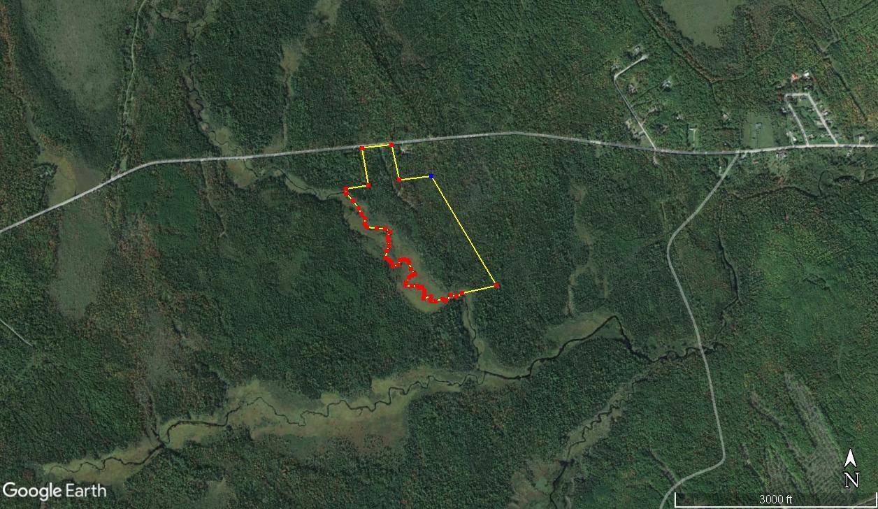 55-ac South Princeton Road Princeton, ME 04668 - Photo 1 of 7 55 aerial