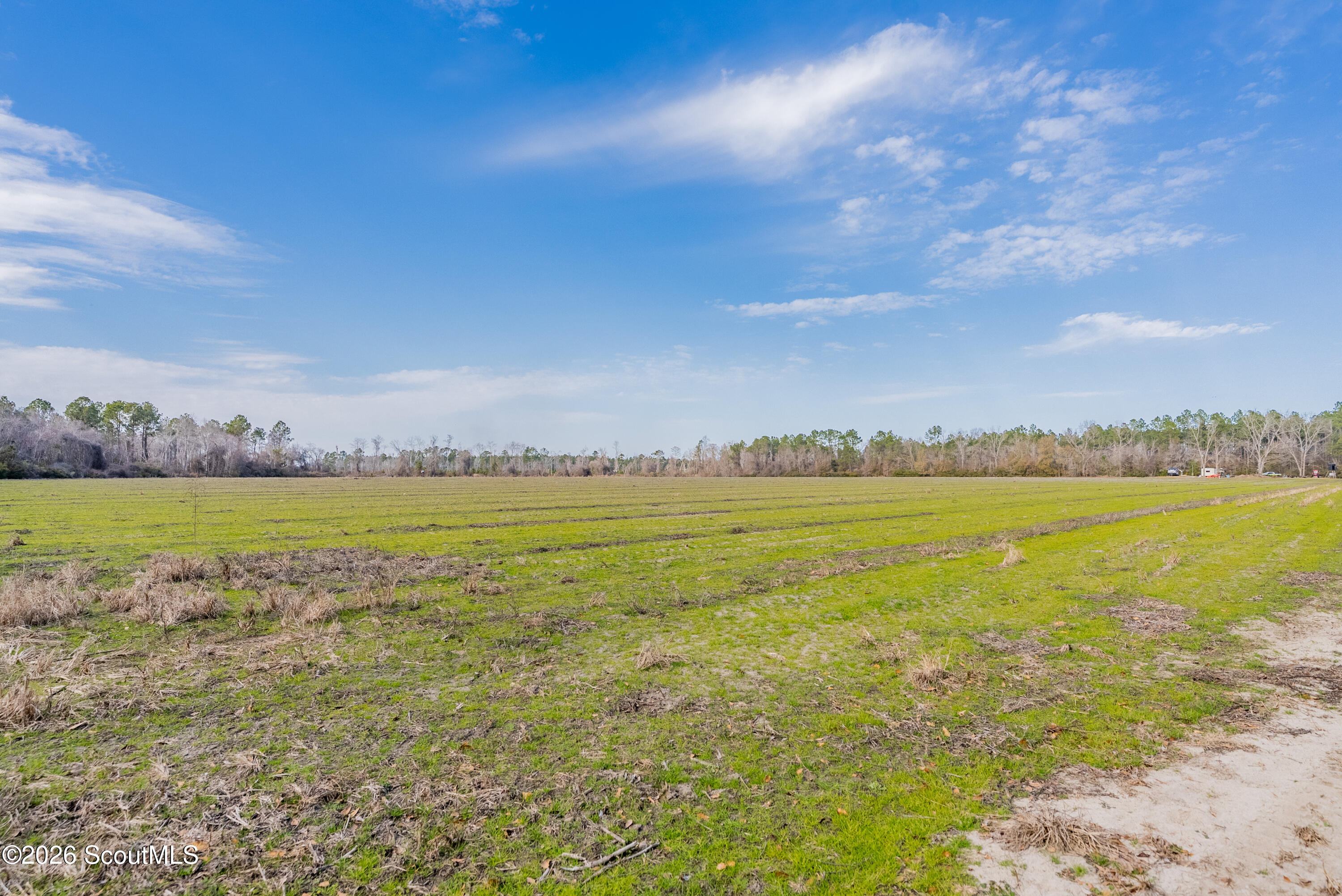 0 Reddish Road Odum, GA 31555 - Photo 34 of 46 230-AC-REDDISH-ODUM-33