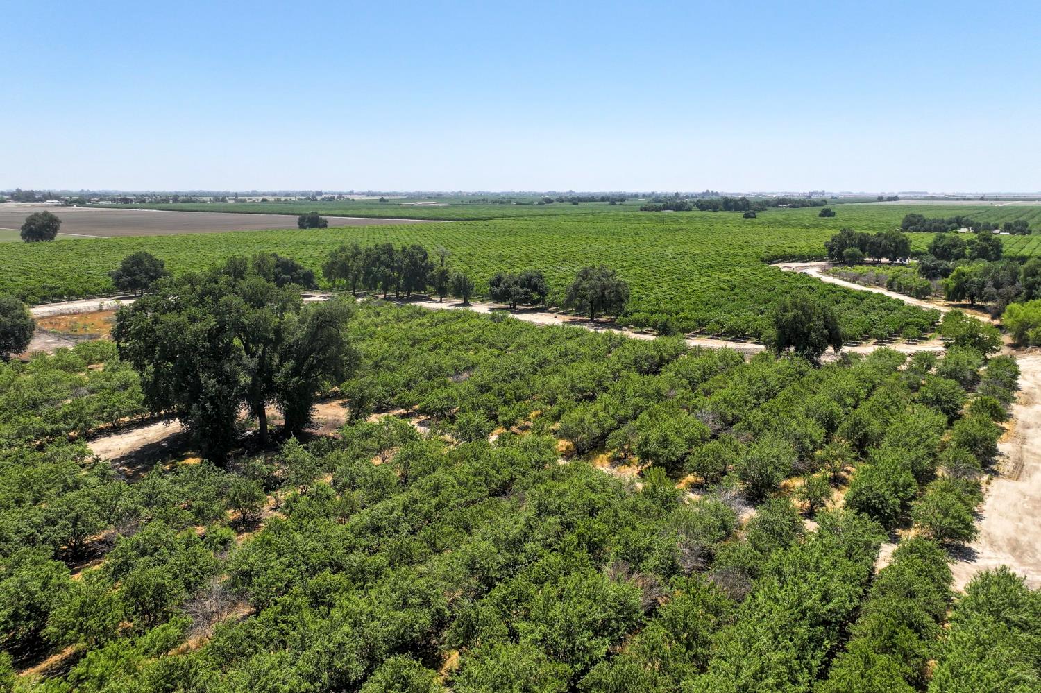 9415 21st Avenue Lemoore, CA 93245 - Photo 11 of 36 a view of a lake with a city