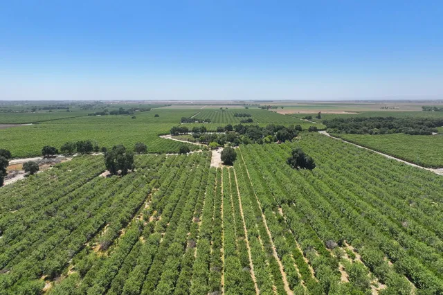 a view of a garden with a lake