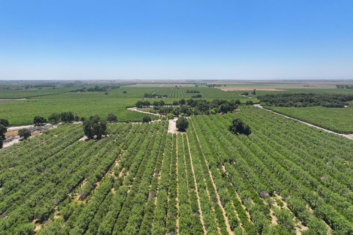 9415 21st Avenue Lemoore, CA 93245 - Photo 12 of 36 a view of a garden with a lake