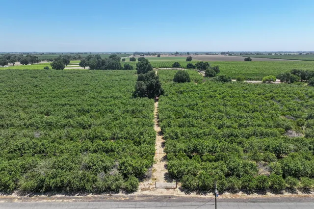 a view of a lush green space