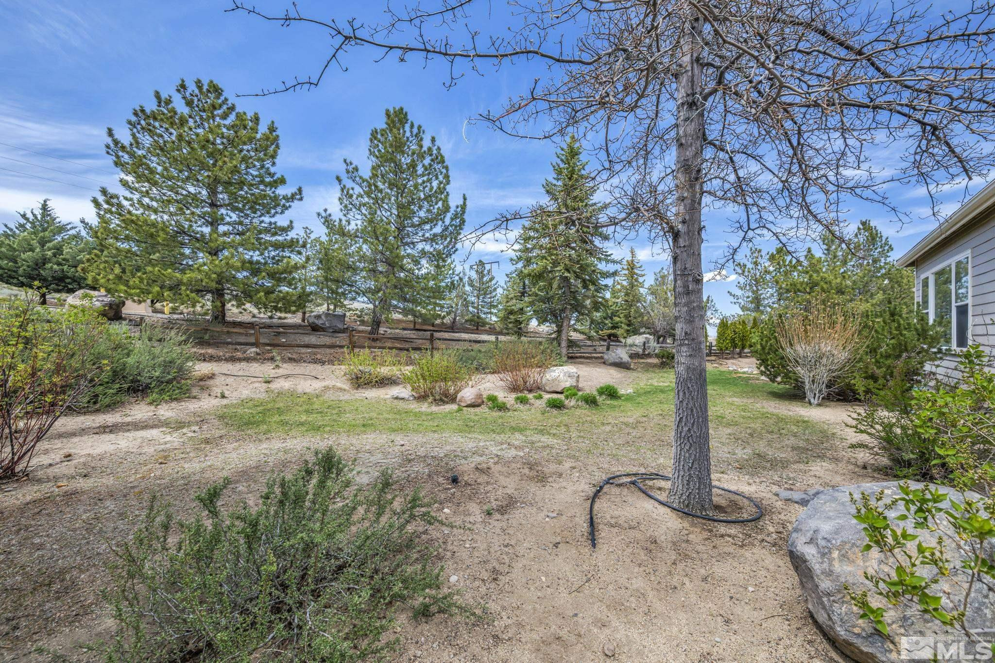 3471 Forest View Court Reno, NV 89511 - Photo 18 of 38 a view of a yard with a tree