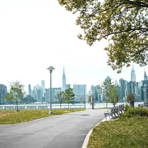 a view of a swimming pool and trees in the background