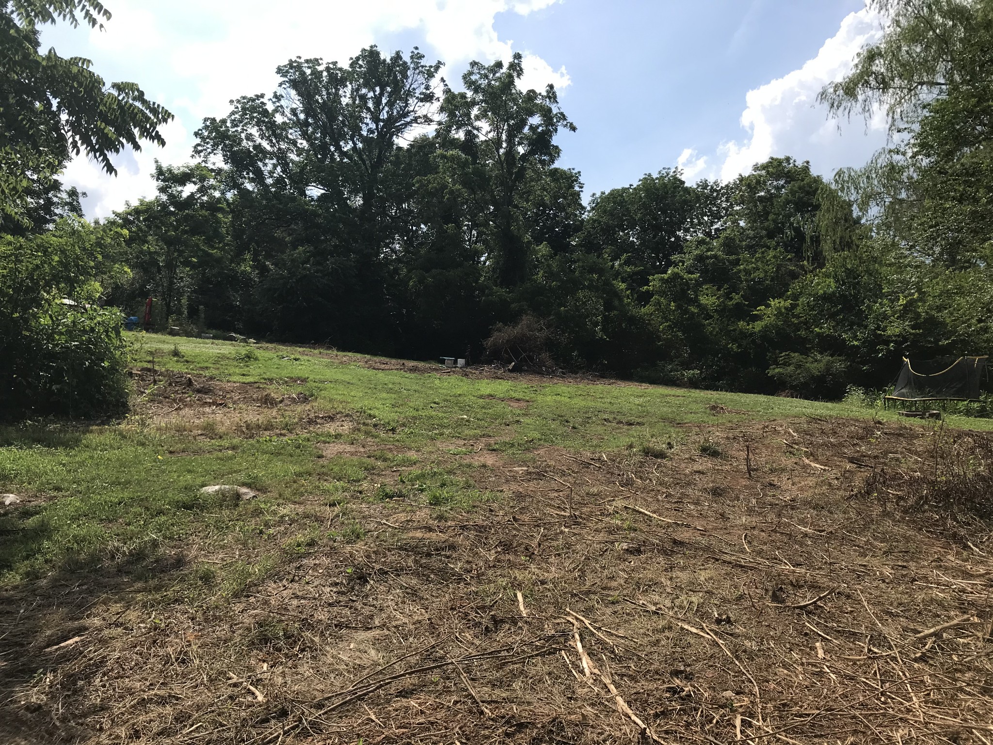 2850 Henry Gower Road Pleasant View, TN 37146 - Photo 5 of 22 a view of a yard with a tree