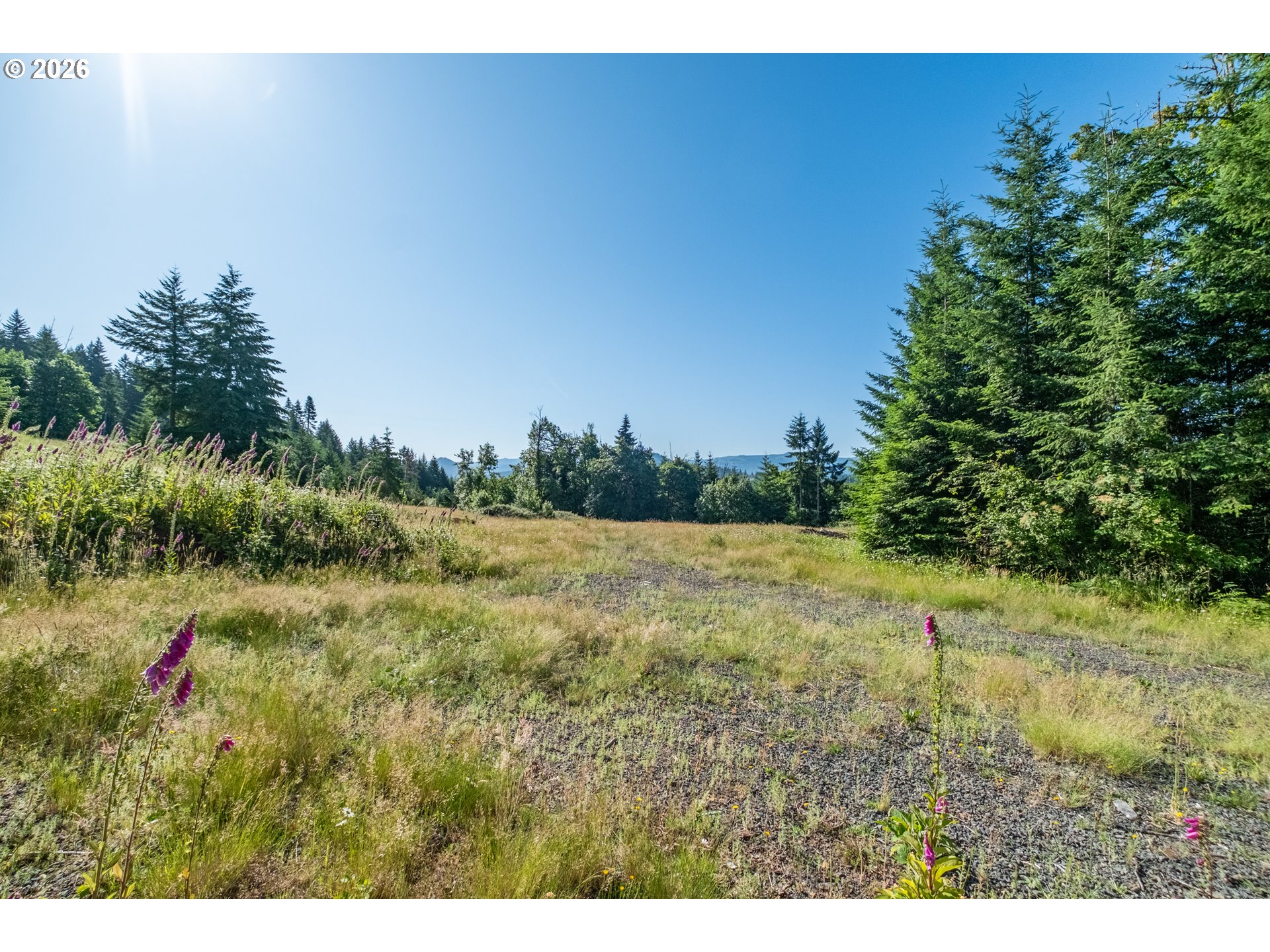 Jones Drive, Unit TL 1700 Foster, OR 97345 - Photo 12 of 19 a view of outdoor space and yard
