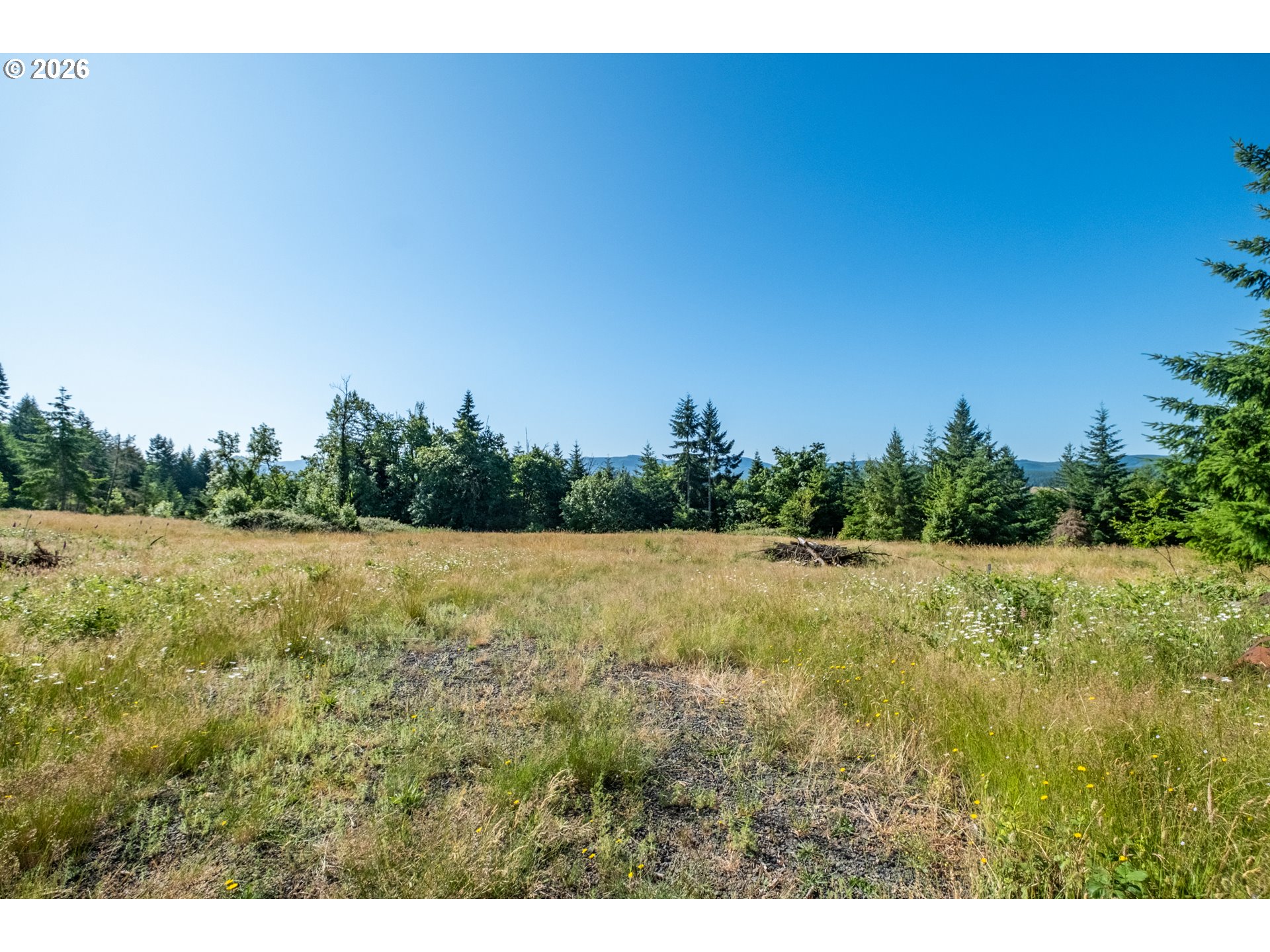 Jones Drive, Unit TL 1700 Foster, OR 97345 - Photo 13 of 19 a view of outdoor space and yard