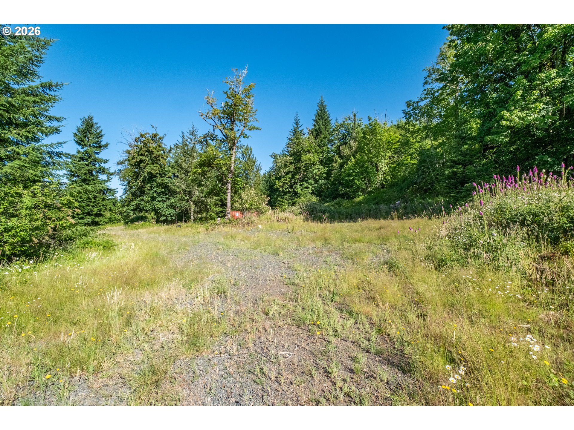 Jones Drive, Unit TL 1700 Foster, OR 97345 - Photo 14 of 19 a view of a yard