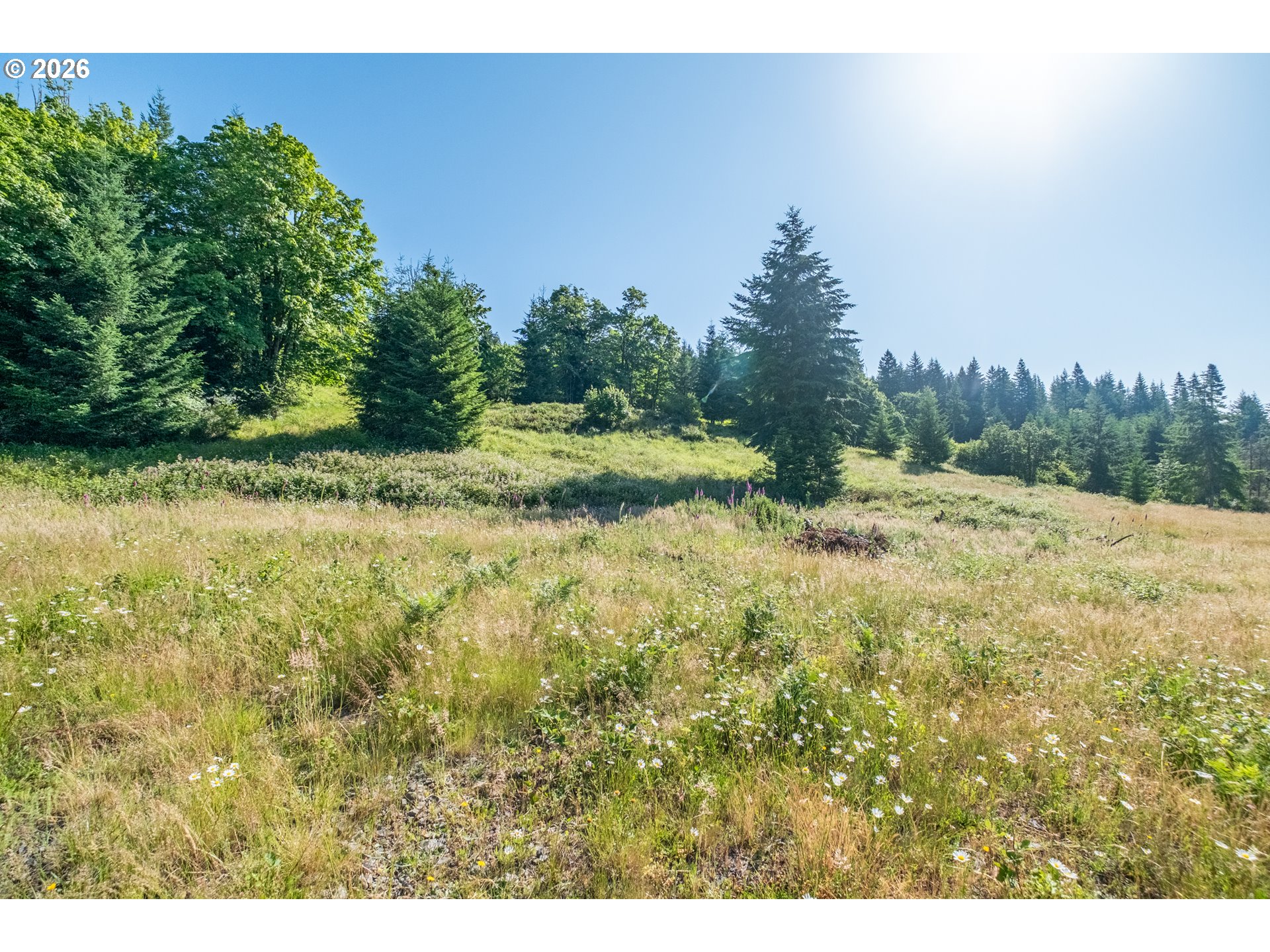 Jones Drive, Unit TL 1700 Foster, OR 97345 - Photo 15 of 19 a view of a yard with trees in the background