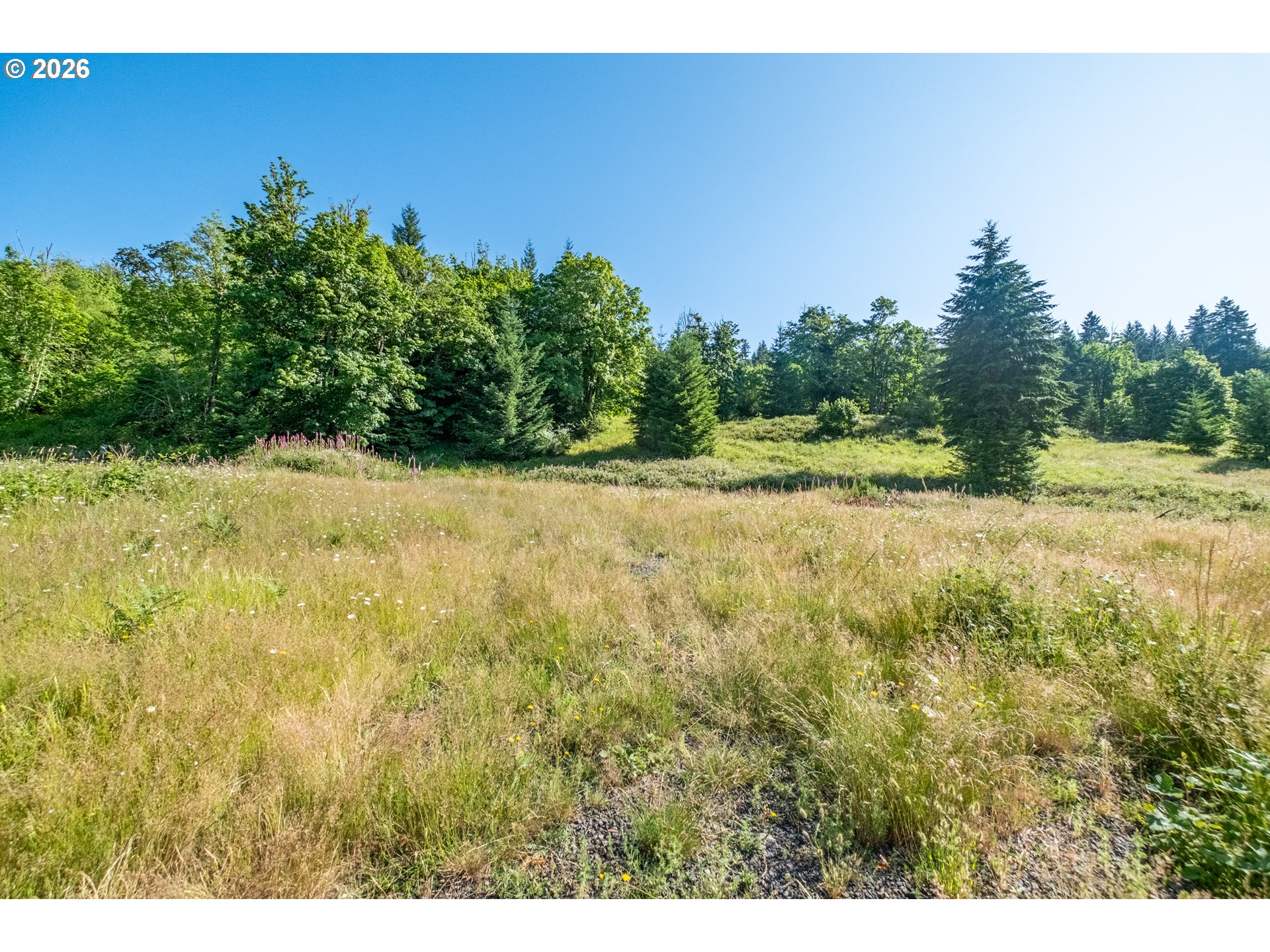 Jones Drive, Unit TL 1700 Foster, OR 97345 - Photo 16 of 19 a view of a yard with an trees