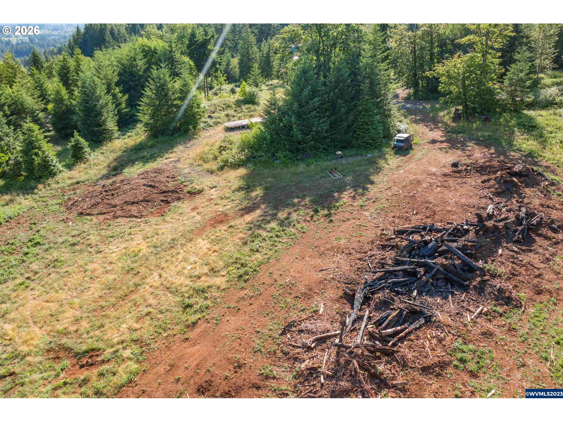 Jones Drive, Unit TL 1700 Foster, OR 97345 - Photo 17 of 19 a view of a yard with plants and large trees