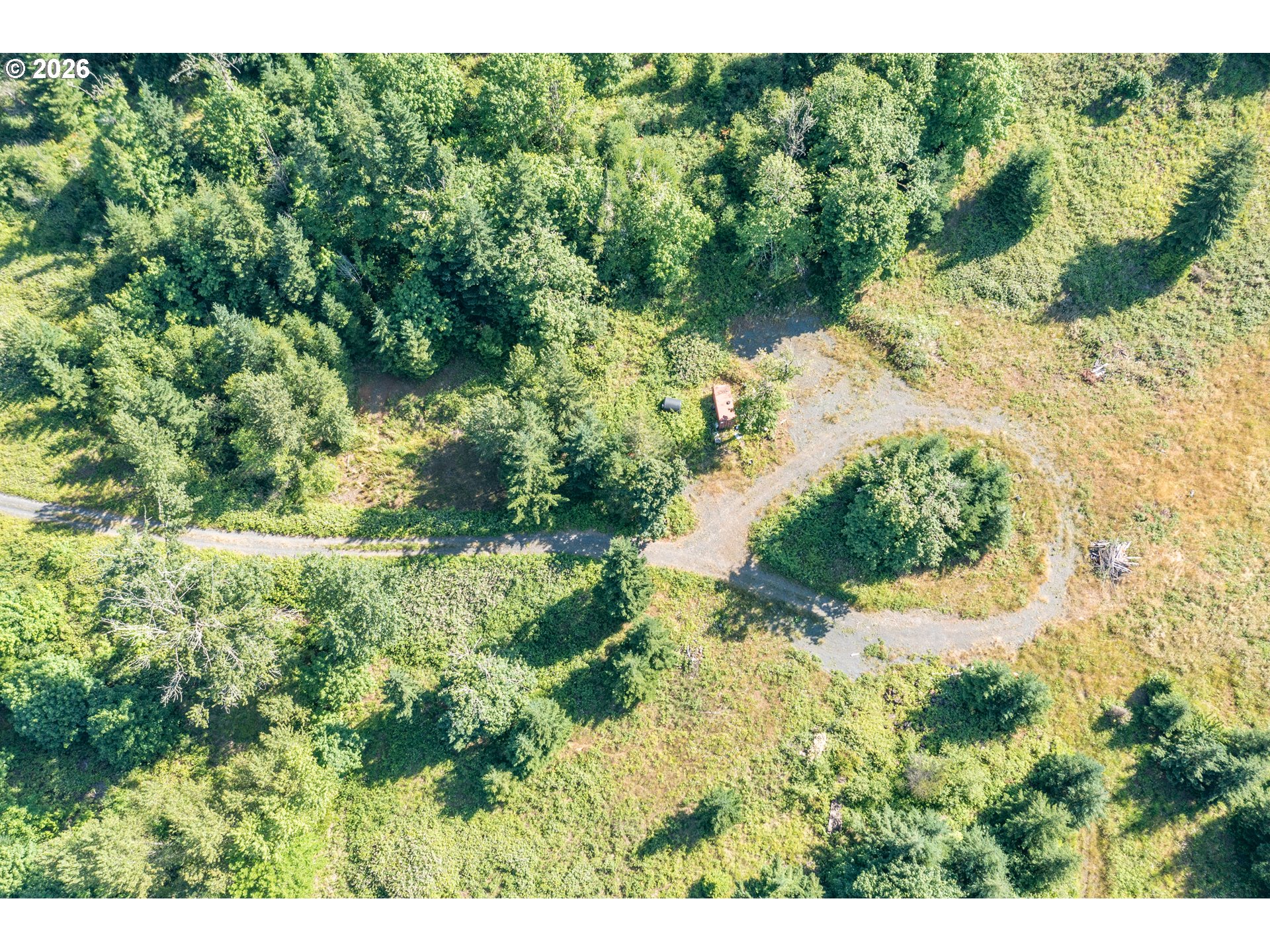 Jones Drive, Unit TL 1700 Foster, OR 97345 - Photo 6 of 19 a view of a yard with a tree