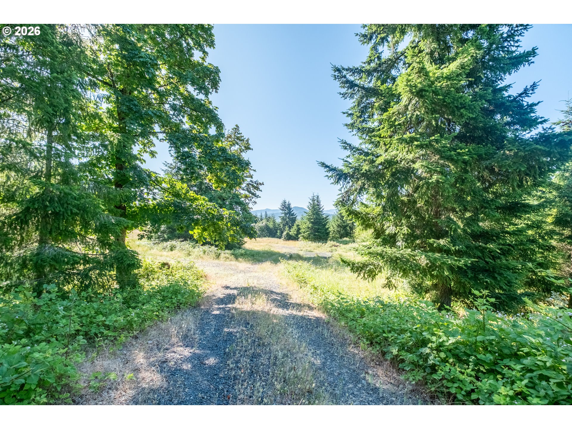 Jones Drive, Unit TL 1700 Foster, OR 97345 - Photo 7 of 19 a view of a yard with plants and large trees