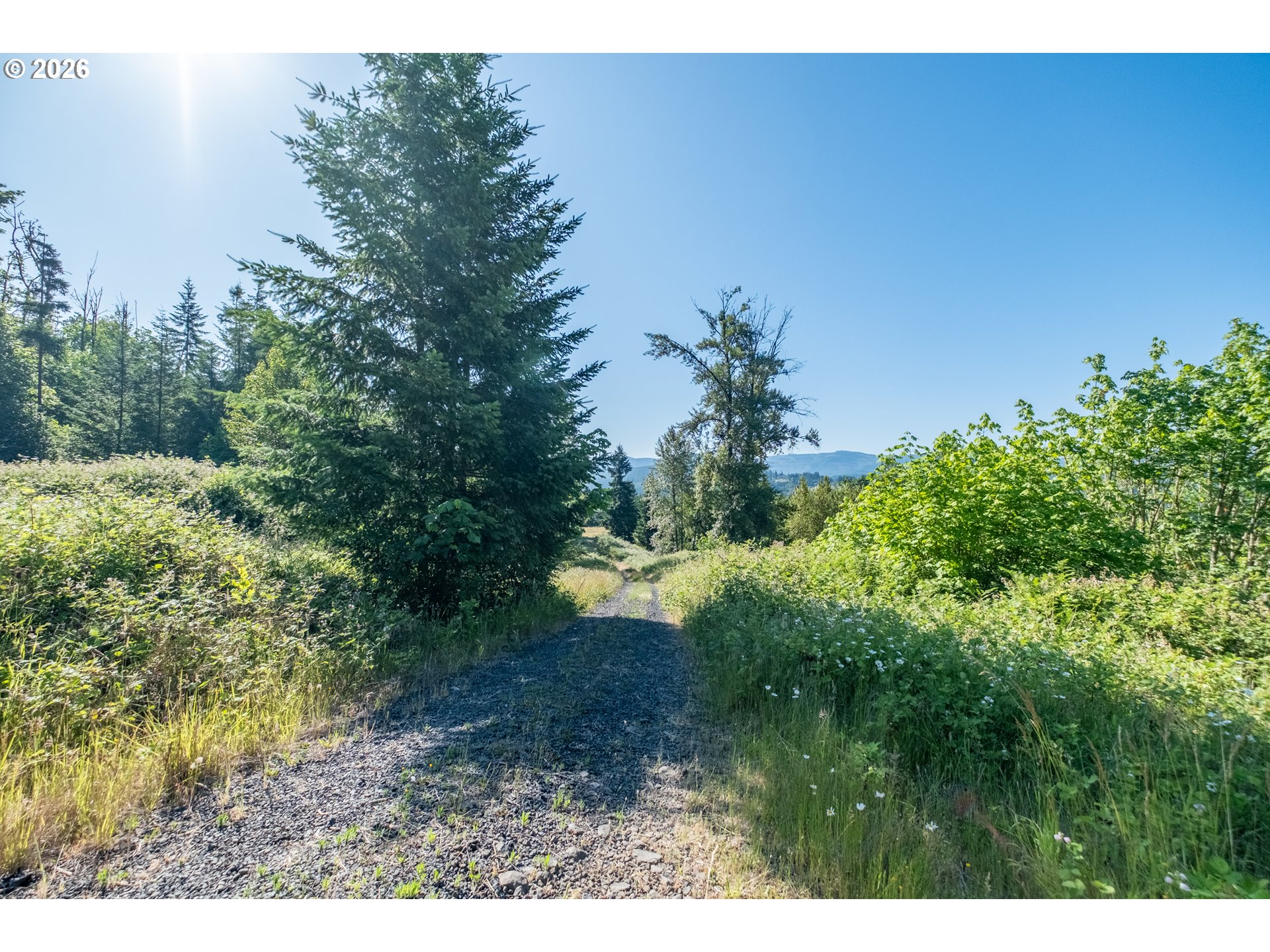 Jones Drive, Unit TL 1700 Foster, OR 97345 - Photo 8 of 19 a view of a yard