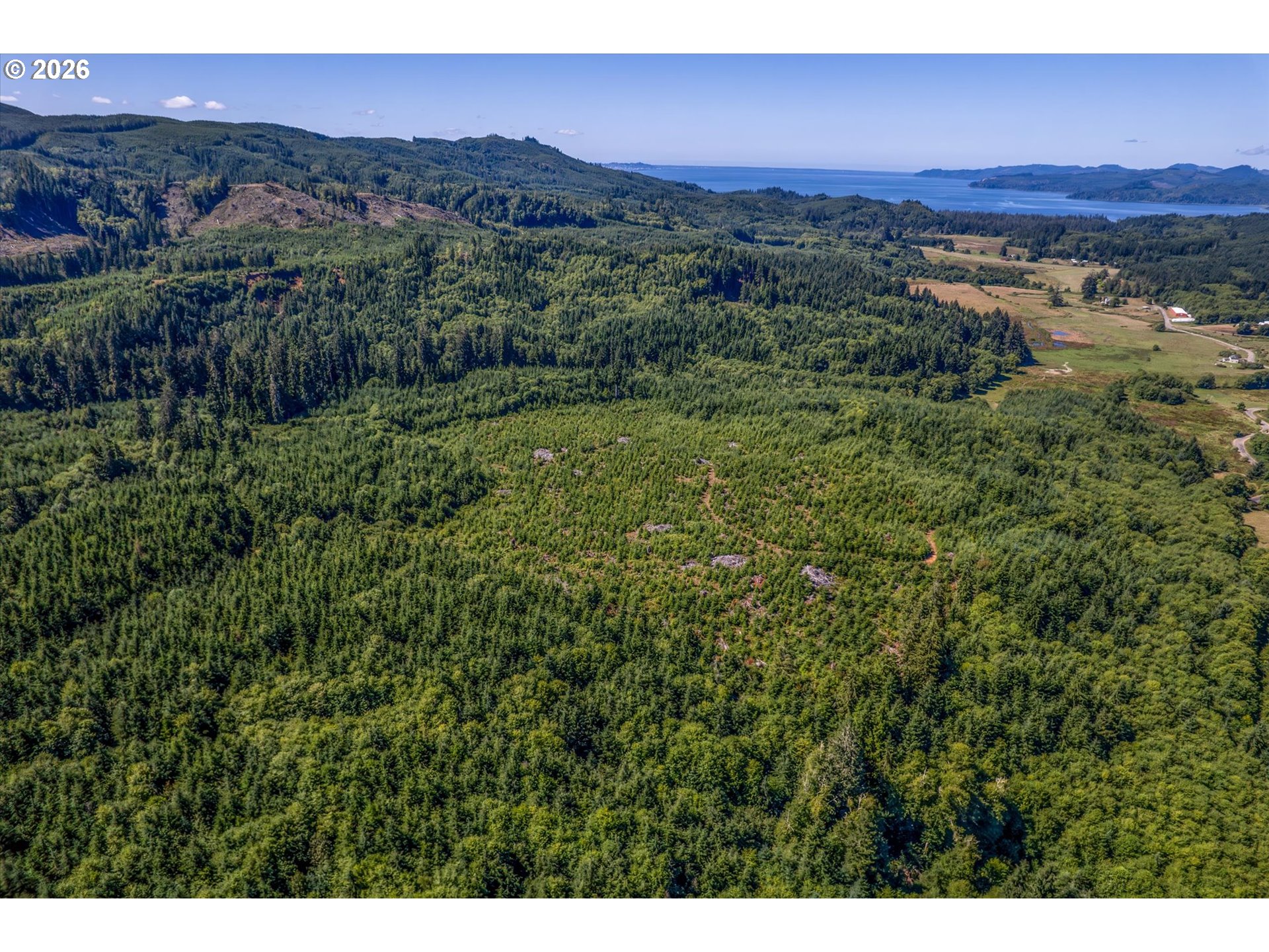 West Valley Road Rosburg, WA 98643 - Photo 2 of 14 a view of a lush green field with lots of bushes