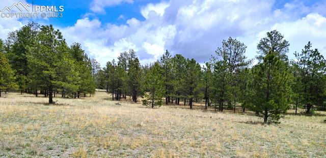 1095 Piney Road Guffey, CO 80820 - Photo 2 of 6
