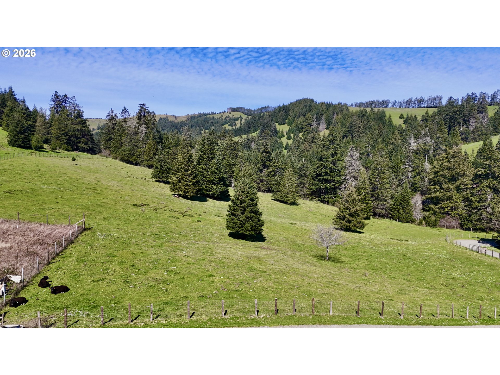 94621 North Bank Rogue River Road Gold Beach, OR 97444 - Photo 28 of 38 Acreage