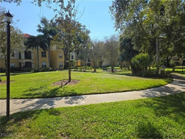 a view of a park with large trees