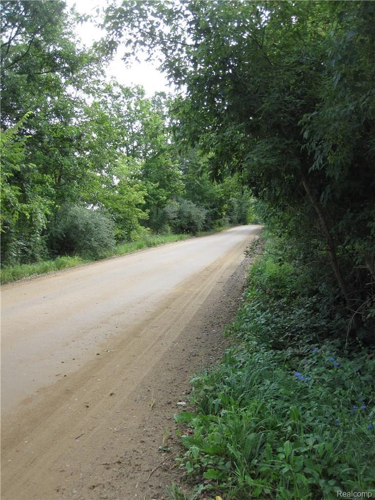 4457 Phillips Road Metamora, MI 48455 - Photo 27 of 29 IMG_0039.JPG