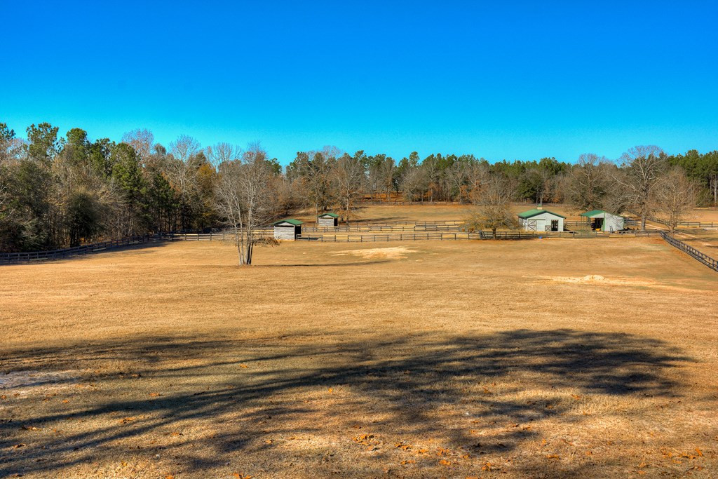 448 Long Cane Road Williston, SC 29853 - Photo 9 of 53