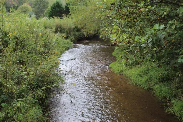 a view of a large yard with lots of green space