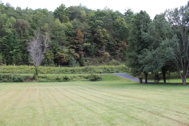 a view of a field with trees in the background