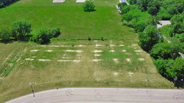 a view of a green yard