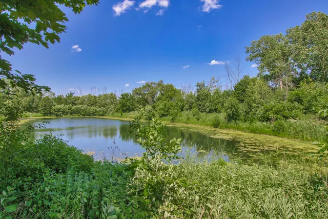 a view of a lake in between two large trees
