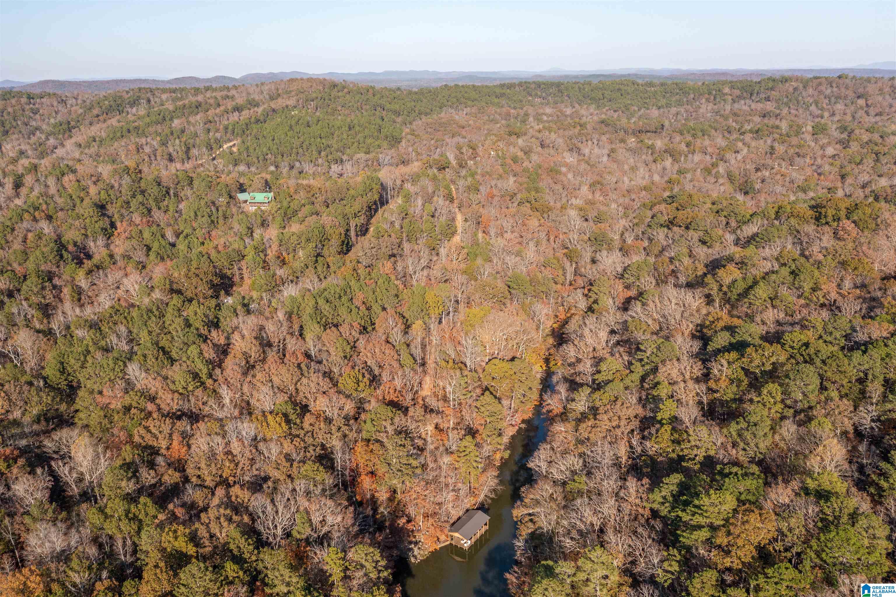 1595 Mohawk Cliff Road Ohatchee, AL 36271 - Photo 39 of 65