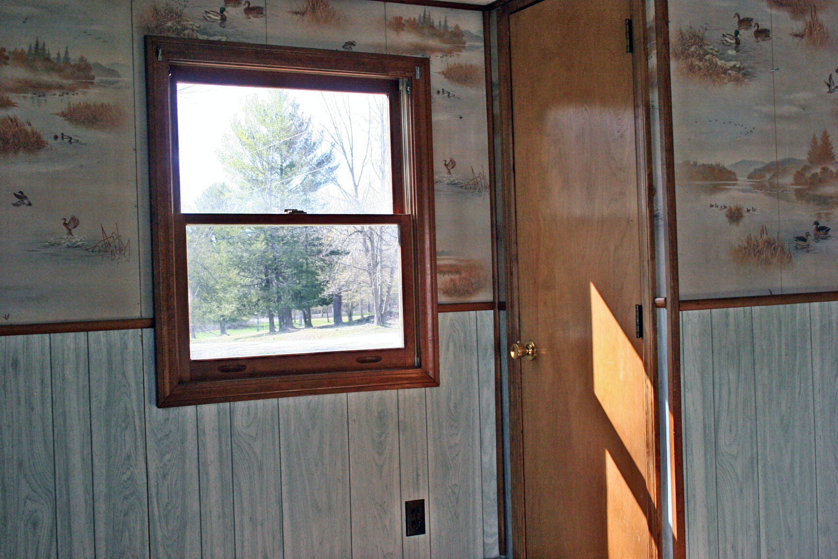 265 Main Road Burlington, ME 04417 - Photo 65 of 97 IMG_0143_edited-1