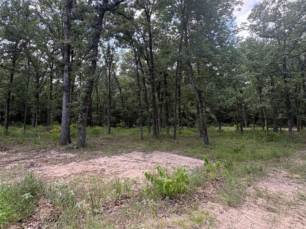 5948 Rd Yantis Tx 75765 Road, Unit 23 Yantis, TX 75497 - Photo 5 of 11