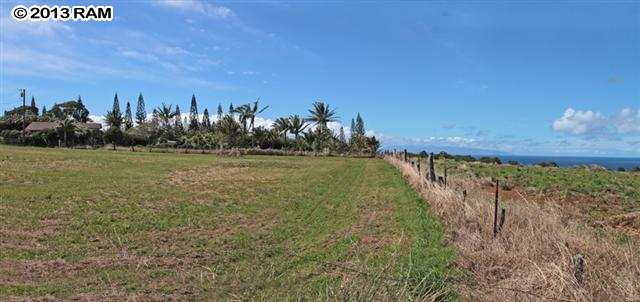 0 Oili Road Haiku, HI 96708 - Photo 11 of 21 a view of a field with an ocean