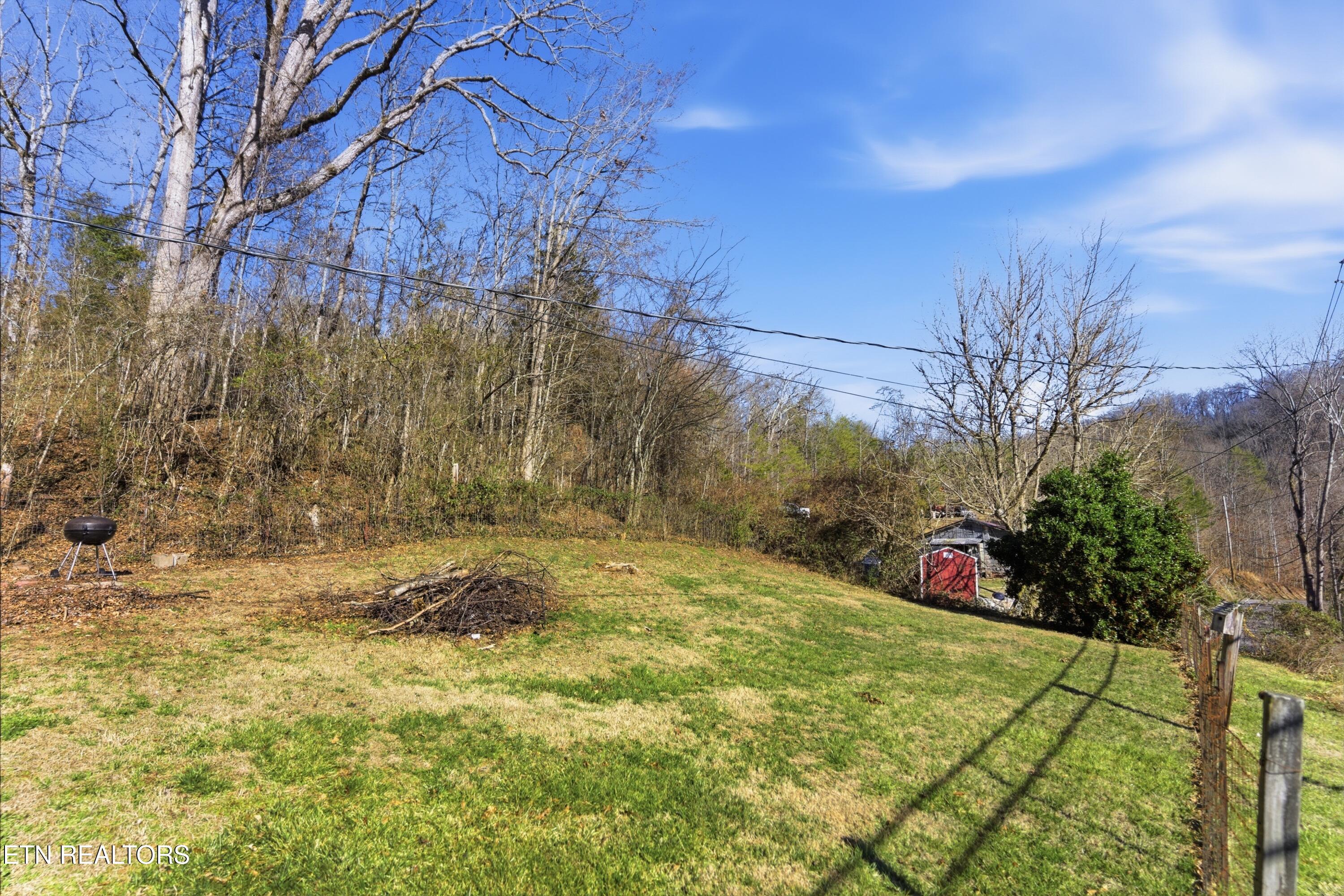 950 Indian Gap Road Sevierville, TN 37876 - Photo 24 of 25 yard1