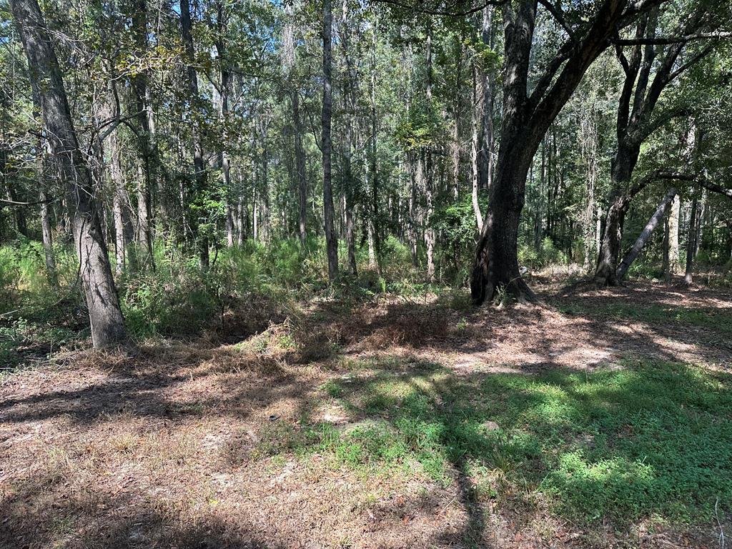 1454 Middleton Road Dothan, AL 36301 - Photo 16 of 21
