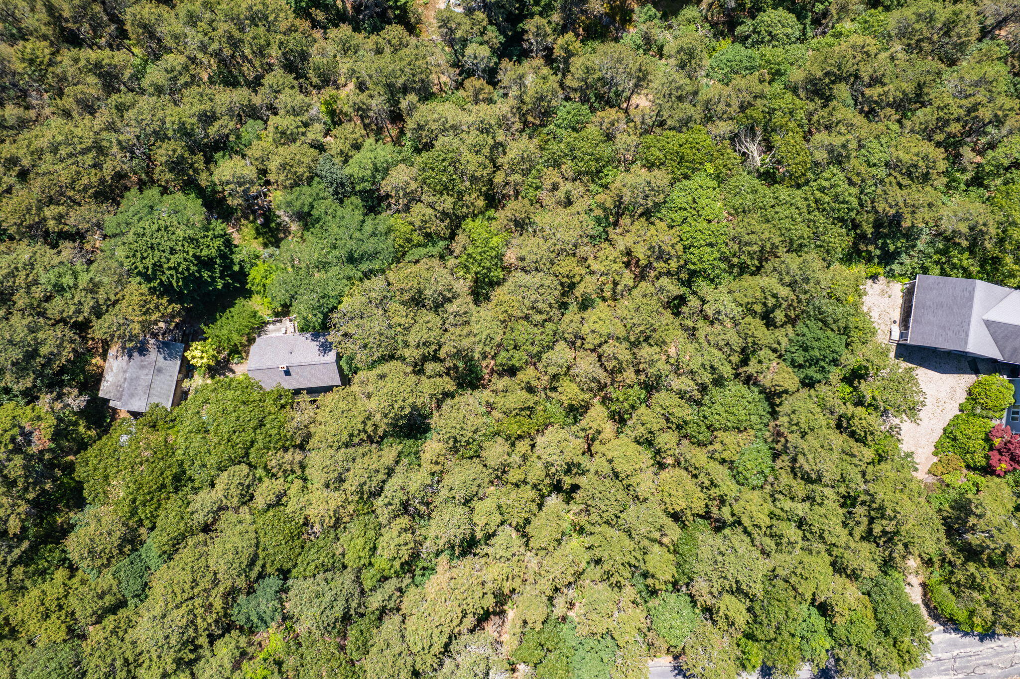23 Quail Ridge Road Truro, MA 02666 - Photo 2 of 9 1-web-or-mls-23-quail-ridge-rd