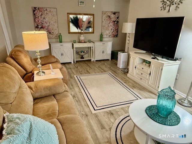 4 Arlington Court, Unit 4 Brookfield, CT 06804 - Photo 16 of 21 a living room with furniture and a flat screen tv