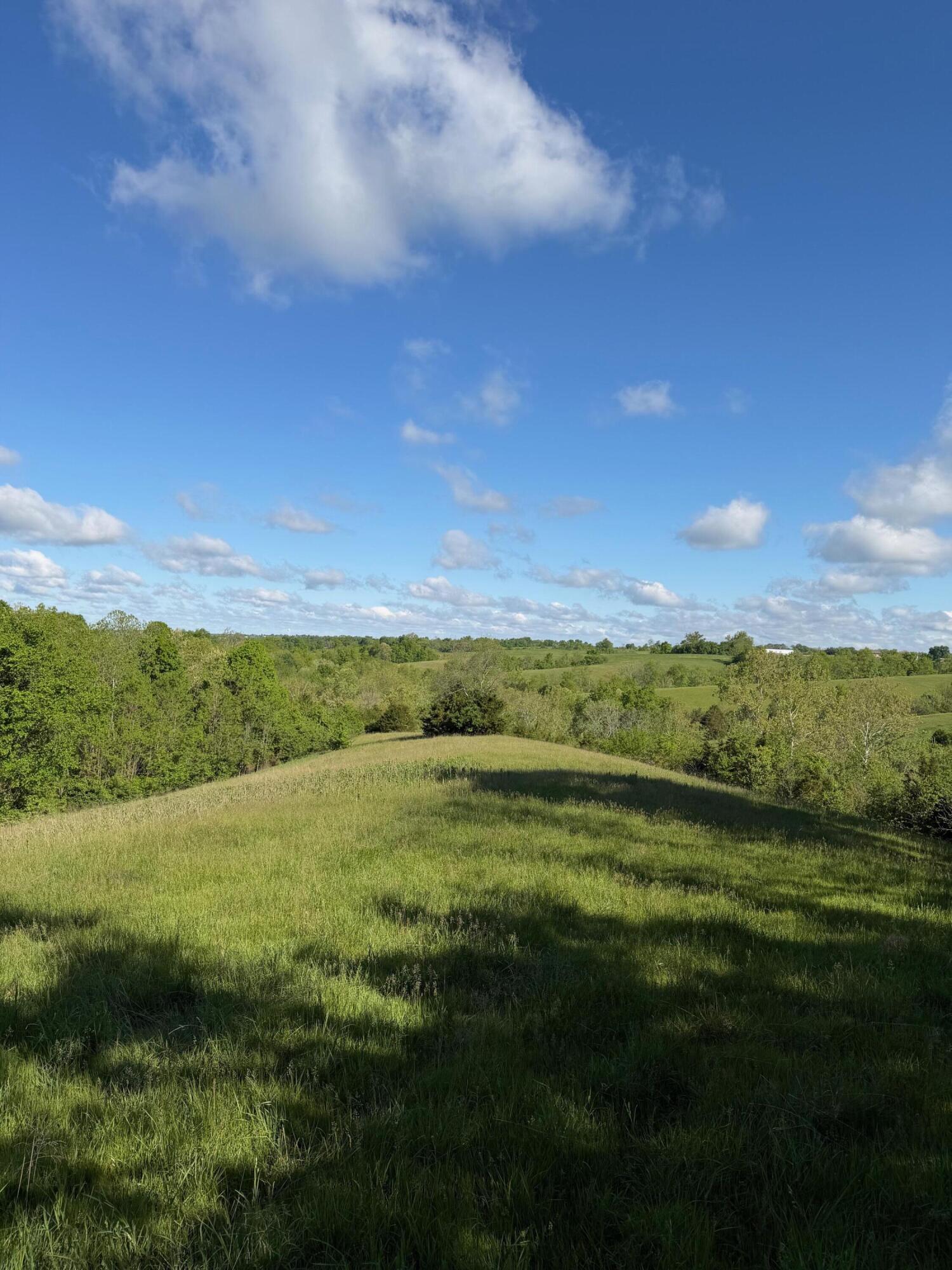 11.19-ac Chipman Ridge Road Williamstown, KY 41097 - Photo 5 of 12