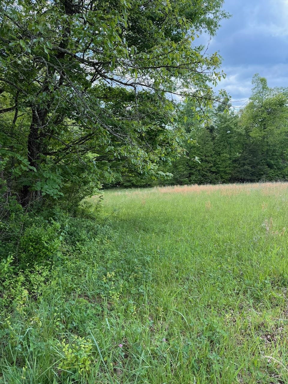 2395 Stringtown Road Sandy Hook, KY 41171 - Photo 9 of 13