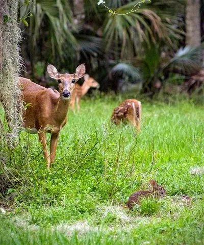 $2,299,000 | 103 Acadia Terrace, Celebration, FL 34747