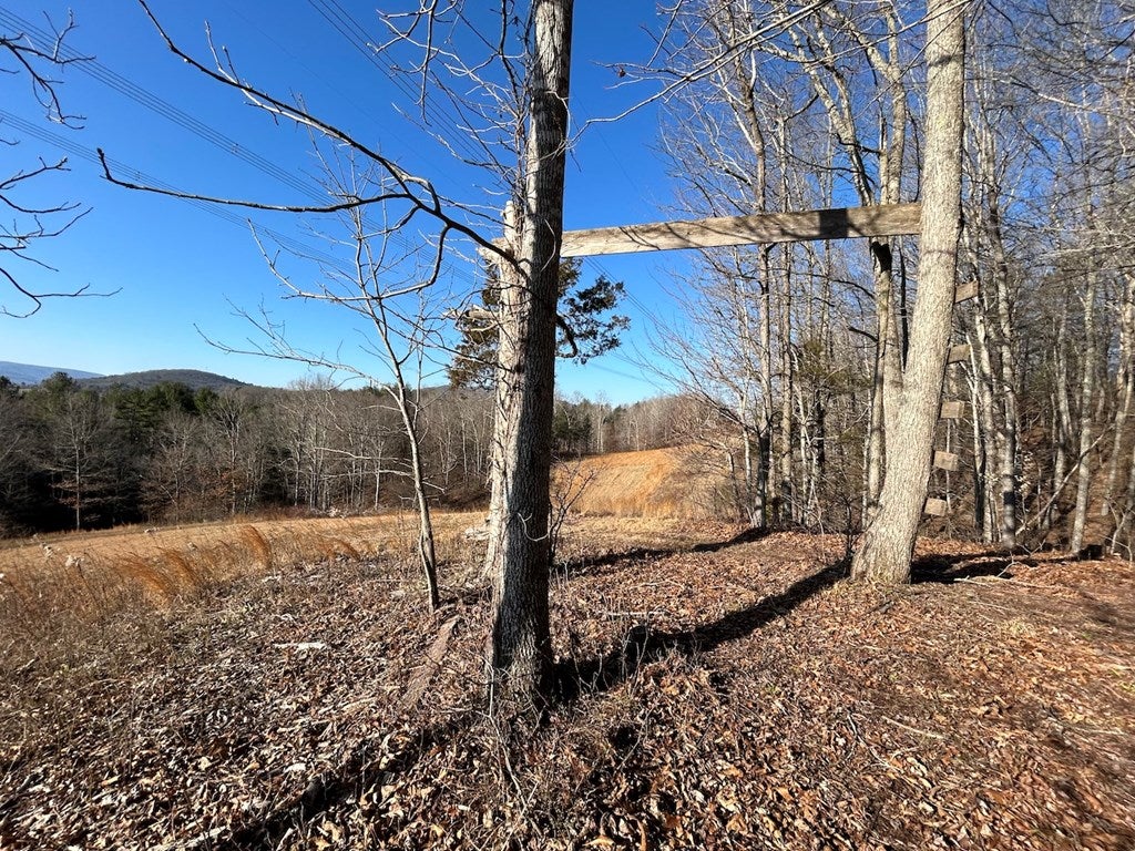 35.9-ac Rural Retreat Lake Road, Unit 7D Rural Retreat, VA 24368 - Photo 27 of 46 Gallery Image 27