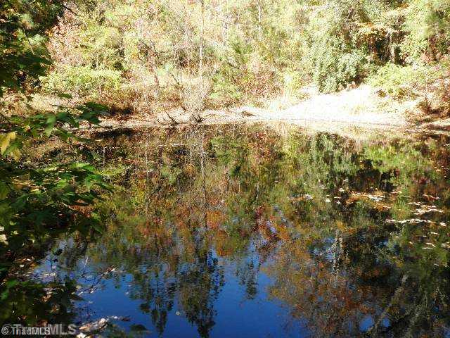 322 Hepler Road Mocksville, NC 27028 - Photo 15 of 16 Other. Stocked Pond