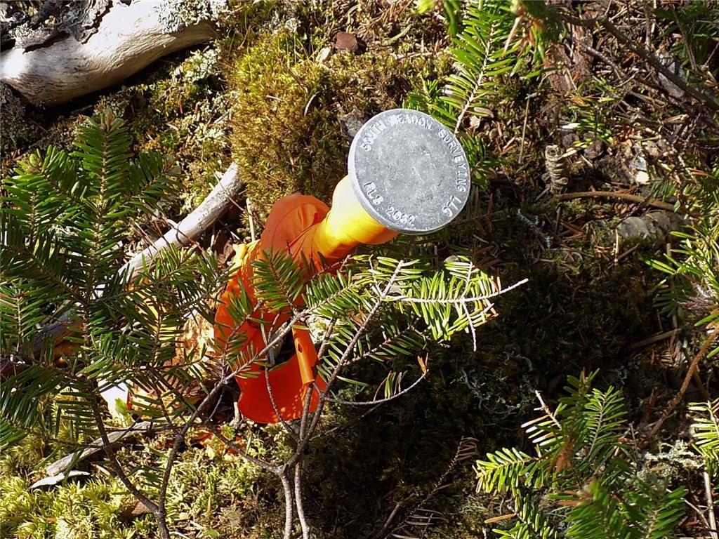 Lot 80 Lyons Road Lubec, ME 04652 - Photo 14 of 29 Here's a close up of the surveyors...