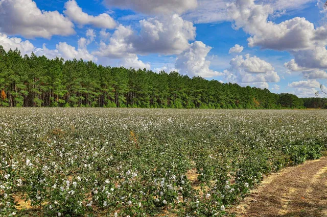 $349,900 | 1300 Terry Drive, Stapleton, GA 30823