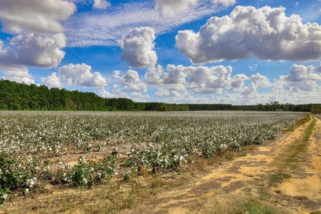 $349,900 | 1300 Terry Drive, Stapleton, GA 30823