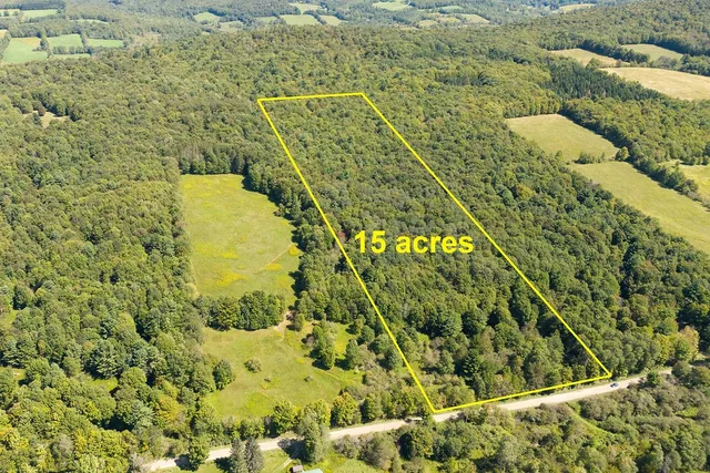 $94,000 | Lot 2 Warren Road, Meredith, NY 13753