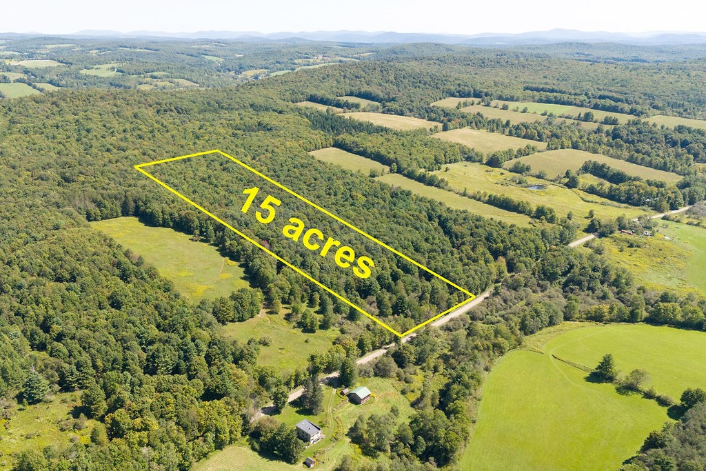 Lot 2 Warren Road Meredith, NY 13753 - Photo 3 of 8