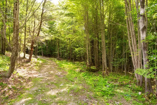 $94,000 | Lot 2 Warren Road, Meredith, NY 13753
