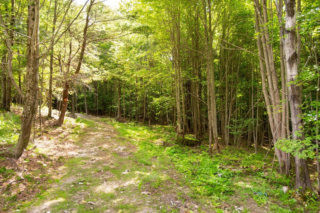 Lot 2 Warren Road Meredith, NY 13753 - Photo 4 of 8