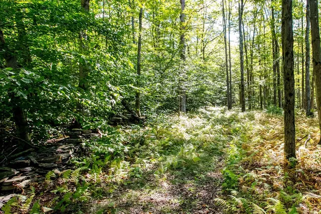 $94,000 | Lot 2 Warren Road, Meredith, NY 13753